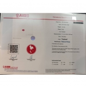 1.33����AIGS���ո�Ѫ�챦ʯ