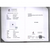 1.05����������ʯ��׹