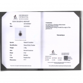 ��Ȼ���պ챦��ʯ��׹