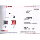 1.19����AIGS��Ȼ���ո�Ѫ�챦��ʯ��׹