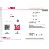 1.47����AIGS��Ȼ��Ѫ�챦ʯ���