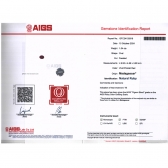 1.04����AIGS��Ȼ���ո�Ѫ�챦ʯ���