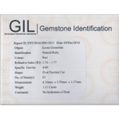 1.11������Ȼ���պ챦ʯ���