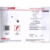 1����AIGS��Ȼ���ո�Ѫ�챦ʯ���