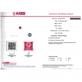 2.58����AIGS��Ȼ���ո�Ѫ�챦ʯ