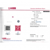 1.05����AIGS��Ȼ���ո�Ѫ�챦ʯ