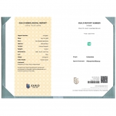 2.93����GUILD΢�͸��ױ�����ĸ��