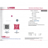 2.54����AIGS��Ȼ���ո�Ѫ�챦ʯ