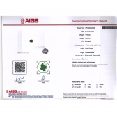 1.18����AIGS���ױ���΢����ĸ��