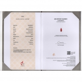 1.02������Ȼ��Ѫ�챦��ʯ��׹