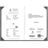 1.020������Ȼ���ո�Ѫ�챦��ʯ��׹