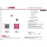 1.08����AIGS��Ȼ���ո�Ѫ�챦ʯ���