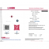 1.04����AIGS��Ȼ���ո�Ѫ�챦ʯ���