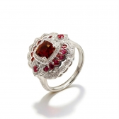 1.33����AIGS��Ȼ���ո�Ѫ�챦ʯ���