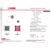 1.33����AIGS��Ȼ���ո�Ѫ�챦ʯ���