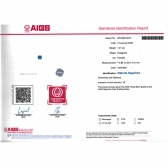 1.21����AIGS��Ȼ�ʼ�������ʯ