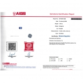 1.89����AIGS��Ȼ�ʼ�������ʯ