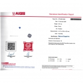 0.91����AIGS��Ȼ�ʼ�������ʯ