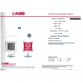 1.55����AIGS��Ȼ�ʼ�������ʯ