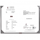 1������Ȼ����Ѫ�챦��ʯ����