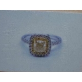 1.03���������ָ