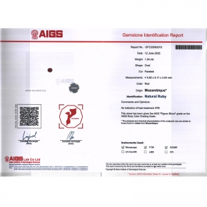 1.04����AIGS���ո�Ѫ��챦ʯ