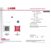 1.27����AIGS��Ȼ��Ѫ�챦ʯ