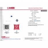 1.04����AIGS��Ȼ���ջʼ�������ʯ