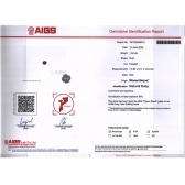 1.04����AIGS���ո�Ѫ��챦ʯ