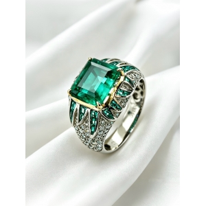 3.61GRS���ױ�����ĸ�����