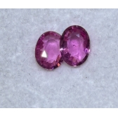 1.410����/2�� ¬��������