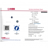 2.04����AIGS��Ȼ���ջʼ�����ʯ���