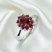 ��Ȼ���ո�Ѫ�챦ʯ���