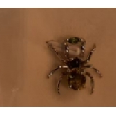 ����ʯ��׹��-չ����ҵ�ɶ� | ����