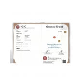 2.01����GIC����������ǡ����ʯ