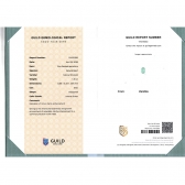 1.46����GUILD΢����ĸ��