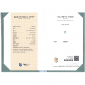 1.66����GUILD΢����ĸ��