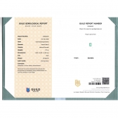 1.72����GUILD΢����ĸ��