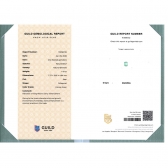 1.43����GUILD��΢����ĸ��