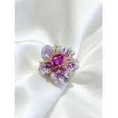 5.05������Ȼ�����Ϻ�ɫ�챦ʯ