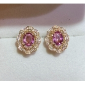 ����������-չ����ҵ�ɶ� | ������