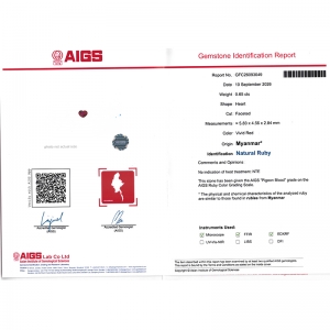 0.65����AIGS��������Ѫ��챦ʯ