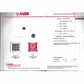 2.68����AIGS��Ȼ�ʼ�������ʯ