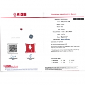 0.65����AIGS��������Ѫ��챦ʯ